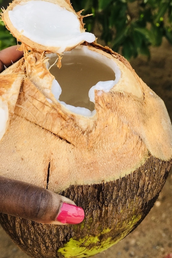 One fresh coconut, cut open
