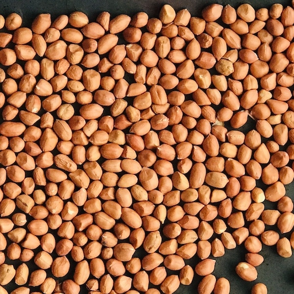 A tray of raw groundnuts