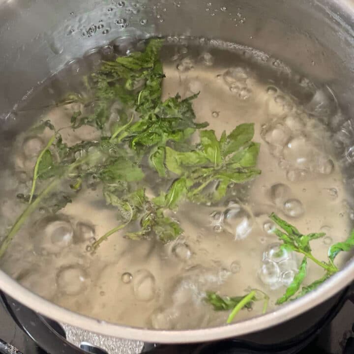 Simple syrup with mint