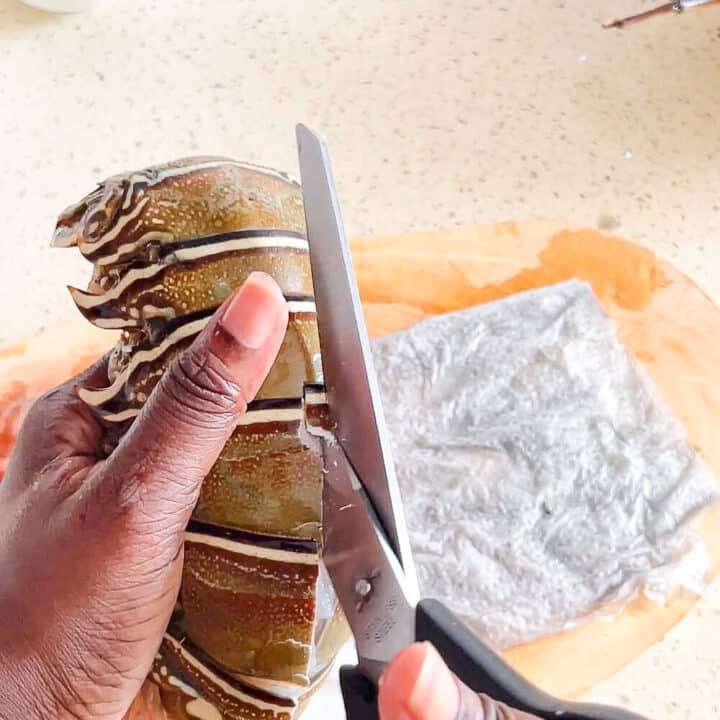 Lobster shell being cut across the body.
